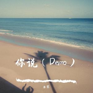 你说（demo）