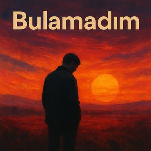 Bulamadım