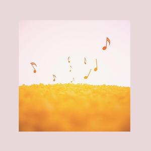 喜歡你這件小事