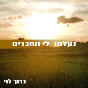 נעלמו לי חברים