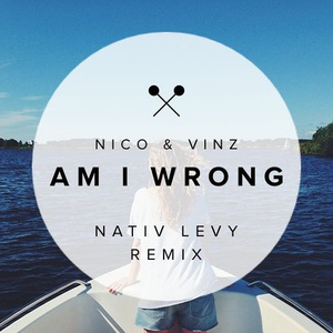 Am I Wrong (Nativ Levy Remix)