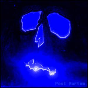 Surfing on dry beer floor