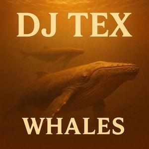 Whales (A Cross The Ocean Mix)