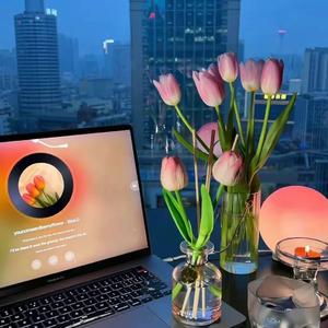 有多少爱可以重来（安静女声）