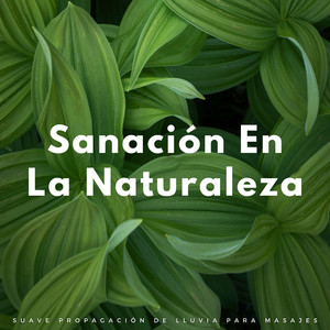 Gotas Nutritivas De La Naturaleza