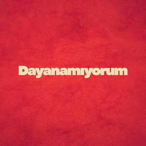 Dayanamıyorum