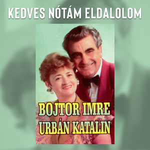 Fecskemadár rászállott a vasútra