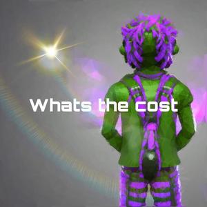 whats the cost