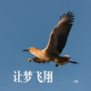 让梦飞翔