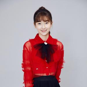 我站在国旗下歌唱