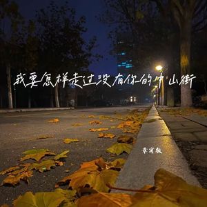我要怎样走过没有你的中山街