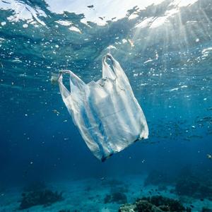 Plastic