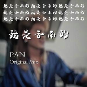 我是云南的 (DJ版)