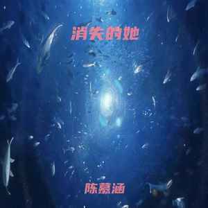 消失的她