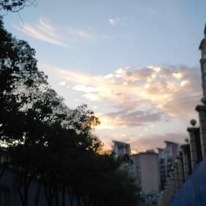 (FREE)听我的小鼓咚咚咚