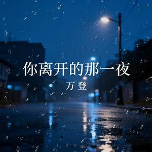 你离开的那一夜