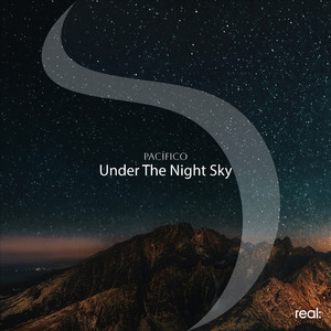 Under The Night Sky