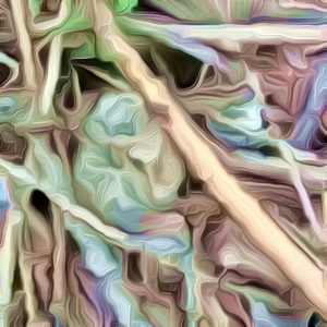 Lyric Where can I go