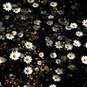 boyboyboyboybee (超萌旋律)