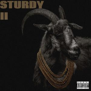 Sturdy 2 (feat. Boo Billy) (Auto Tune Remix)