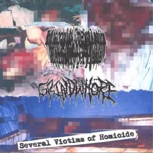 Postmortal Defilement(grindwhore)
