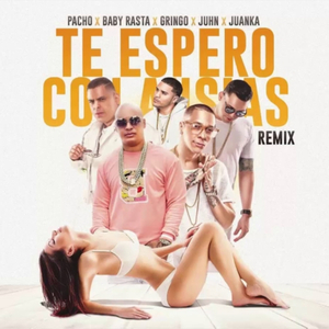 Te Espero Con Ansias (Remix)