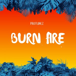 Burn Fire