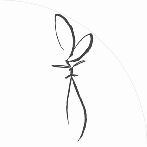 오늘, 이 축제로(Gala)