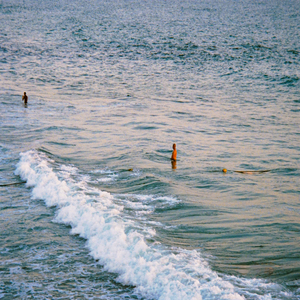 Jelly mood (Feat. sokodomo)