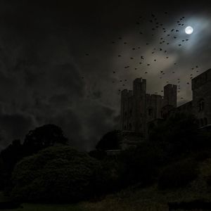 [Trap] drak fire 黑火