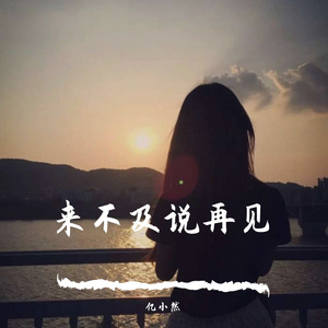 来不及说再见（翻自 艾辰）