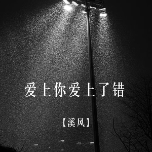 爱上你爱上了错