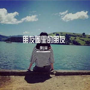 朋友圈里的朋友-胡少盐