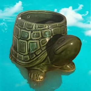 Turtle Ship