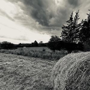 statue (feat. darrow)