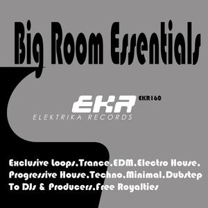 Big Room Essentials 128