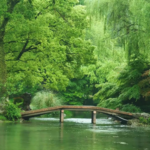 灯月交辉 (古筝静心曲)