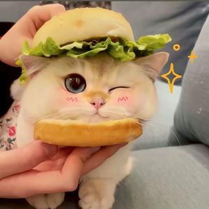 三哥进行曲 (熊大版)