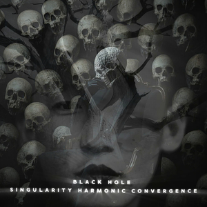 Black Hole Singularity Harmonic Convergence