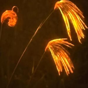 Still Gettin' Rich N' Goin' Broke