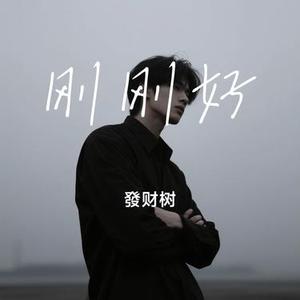 刚刚好 (Cover 薛之谦)