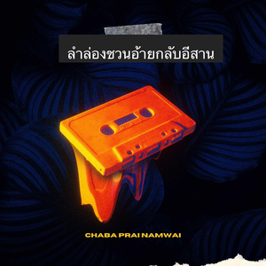 ลำล่องชวนอ้ายกลับอีสาน