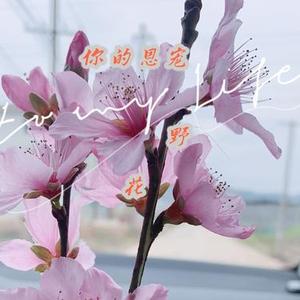 夜雨清歌 (Cover 小倩)
