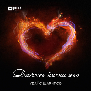 Дагчохь йисна хьо