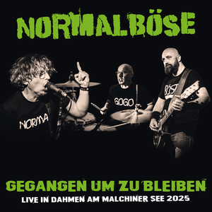 Polizisten (Live)