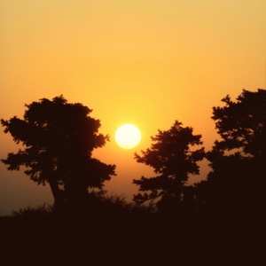 西に何があるのか