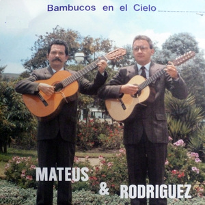 Volaron los años