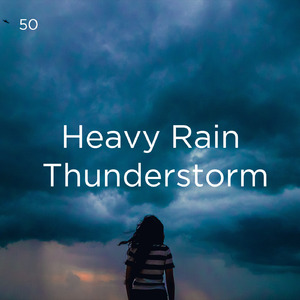 호우 잠