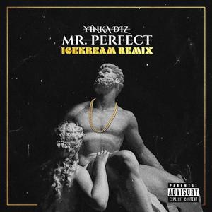Mr.Perfect (feat. Yinka Diz) (icekream Remix) (icekream Remix)