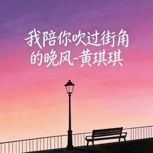 我陪你吹过街角的晚风 (DJ涵哈版)